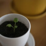 結婚記念日でした