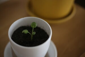 結婚記念日でした