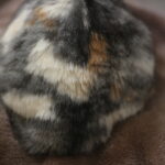 楽天の中の人から見たスーパーSALE