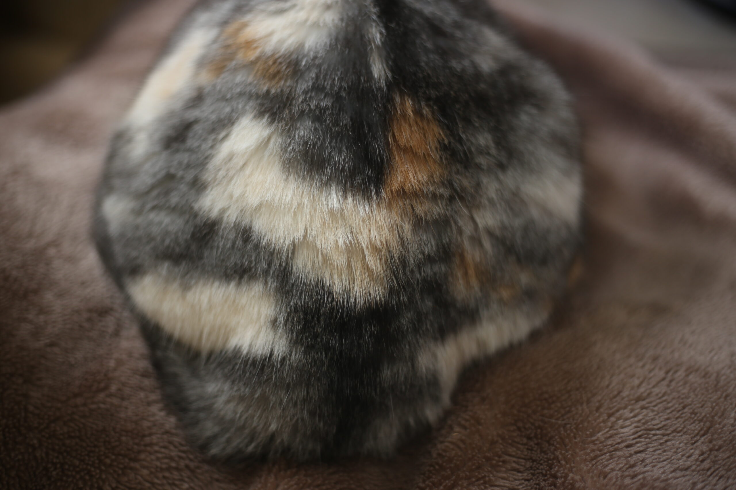 楽天の中の人から見たスーパーSALE