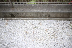 明日は我が身すぎて震える