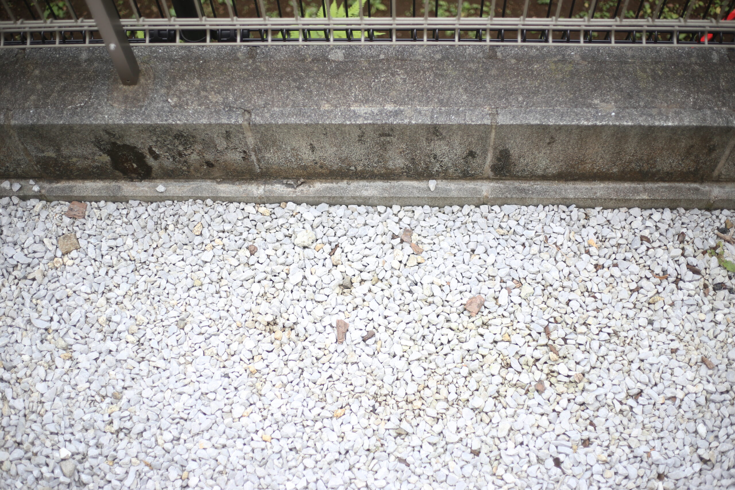 明日は我が身すぎて震える