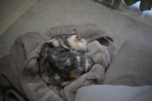 おばさんのキャパシティ