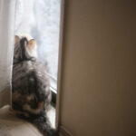 『これを失ったら』と想像することにしている