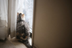 『これを失ったら』と想像することにしている