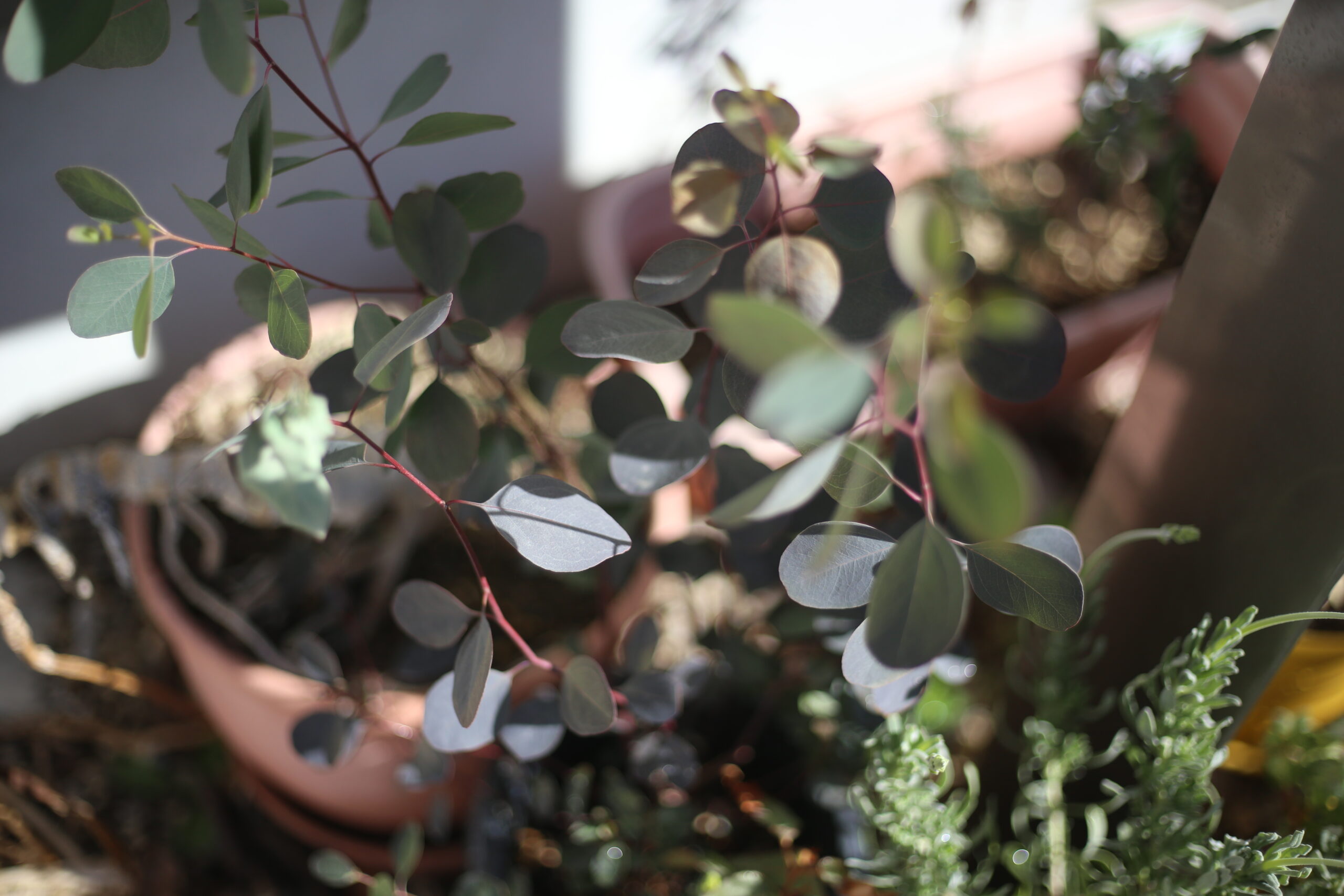 人生2周目・3周目