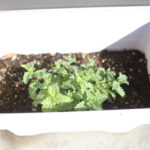 真夏の引っ越しの影響で