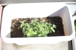 真夏の引っ越しの影響で