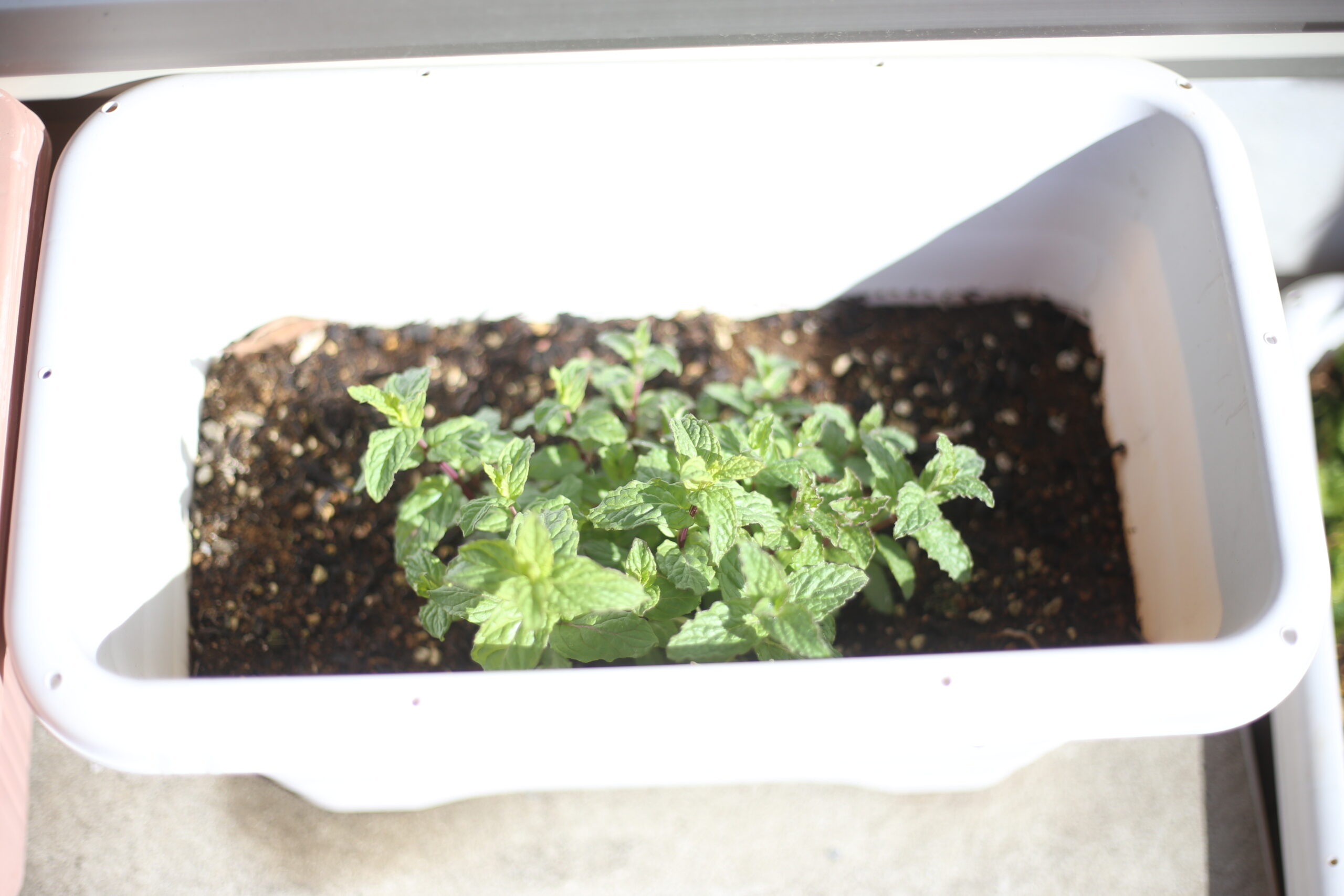 真夏の引っ越しの影響で