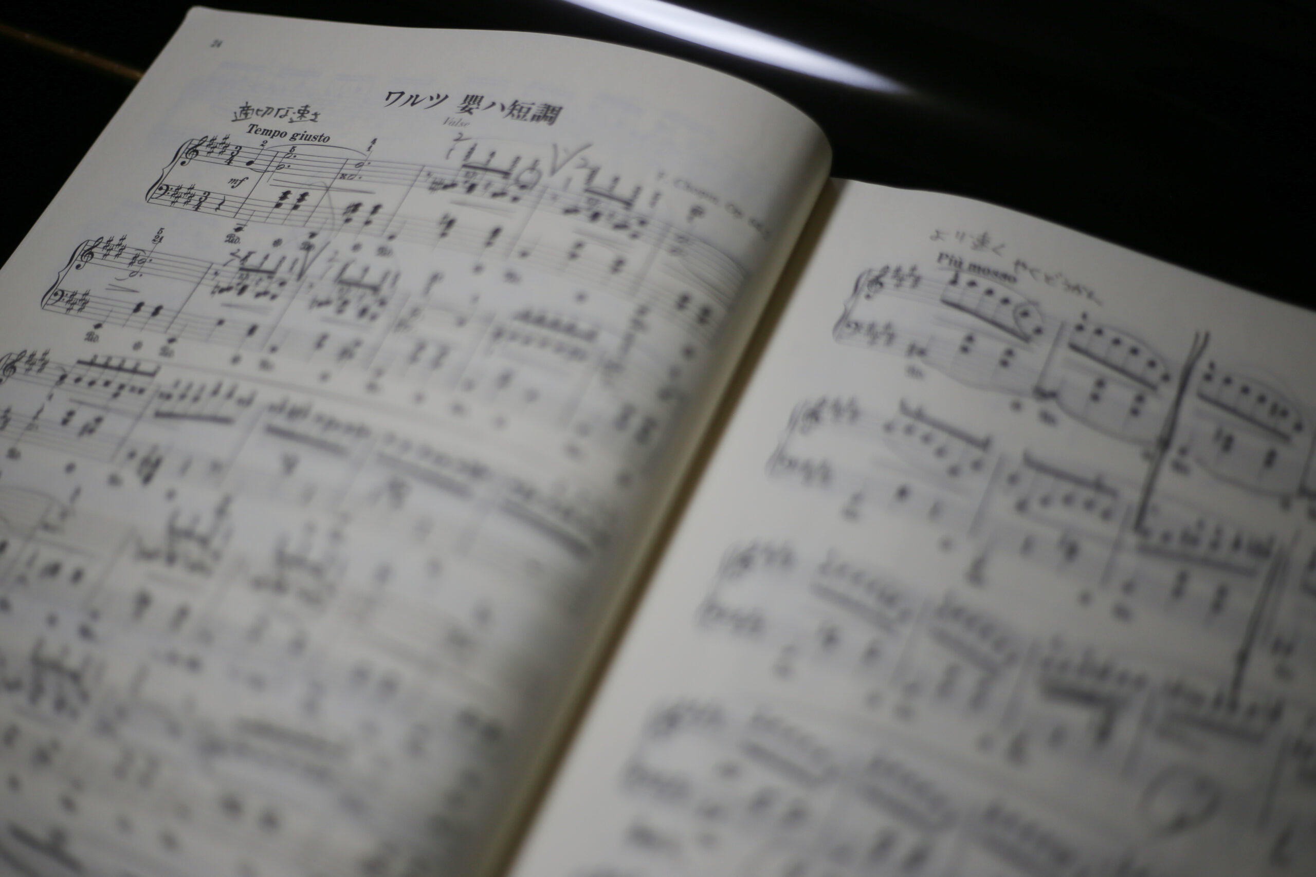 多分好きなのは、ピアノじゃない