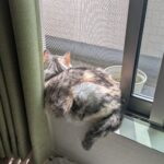 10年とは言わず、3年遅かった。